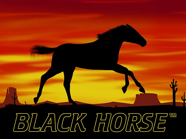 black horse w polskich kasynach online